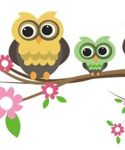 sowki Grafika grupy 3